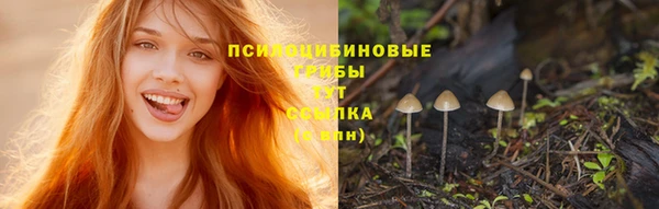 синтетический гашиш Заволжье