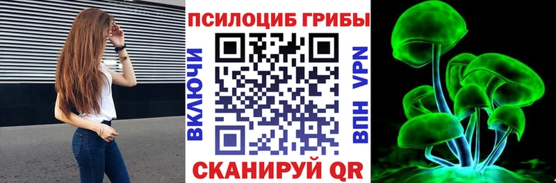 Псилоцибиновые грибы Psilocybe  Купить где  Петропавловск-Камчатский 